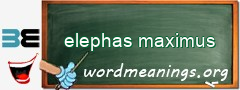WordMeaning blackboard for elephas maximus